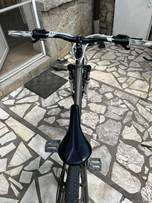 Cross Dexter 26"