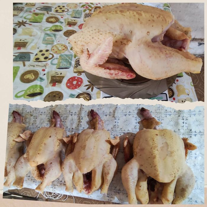 Мясо домашней курицы