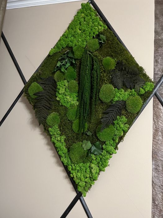 Tablou natural muschi si licheni