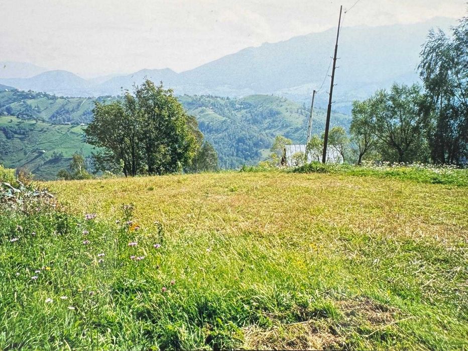 Teren intravilan sat Pestera