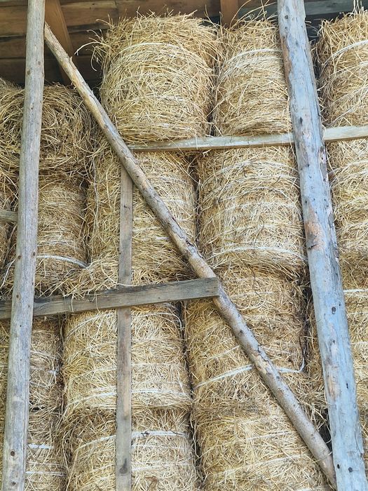 Vând baloti de lucernă.