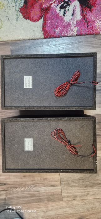 Boxe Philips 20W