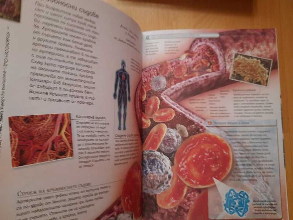 Книжки за любознателни деца