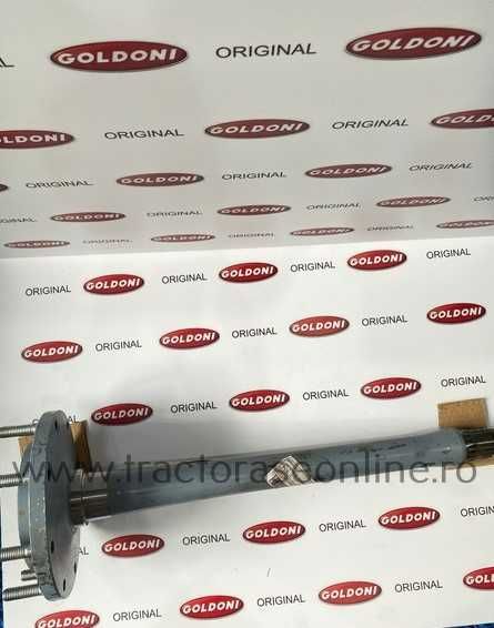 Planetara pentru Goldoni