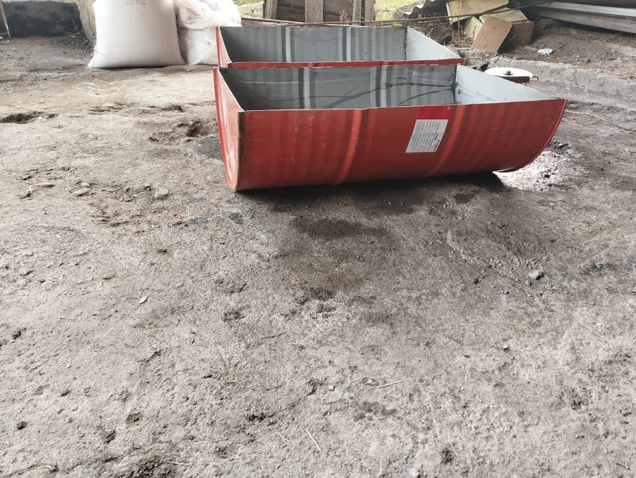 Oxir mollar _ otlar va qoʻylarga