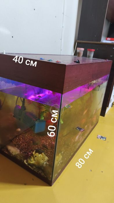 Продам аквариум вместе с содержимым