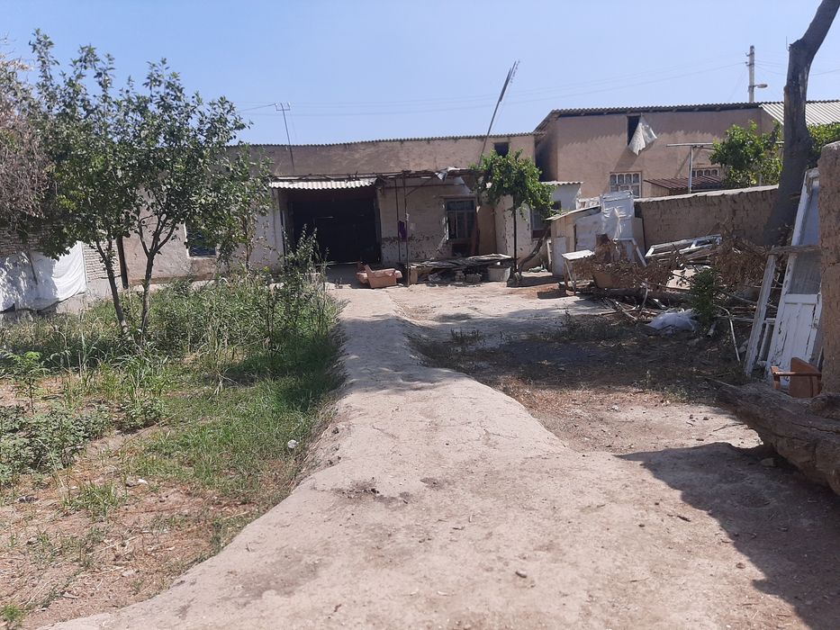 Kadastr bor prapiska bor