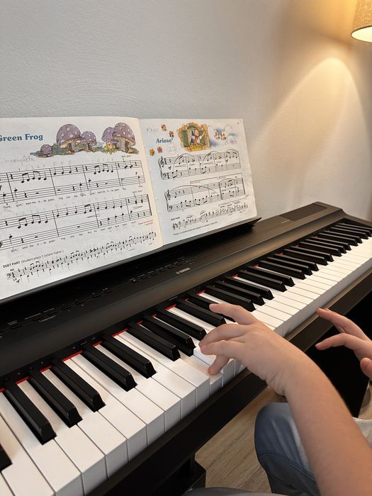 Lectii pian, teorie muzicala