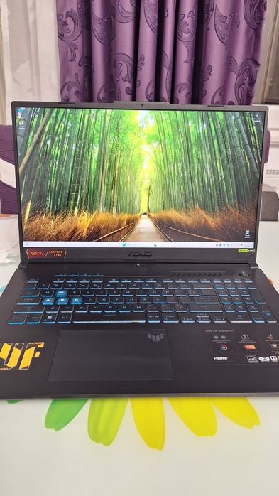 Laptop Gaming Asus TUF F17