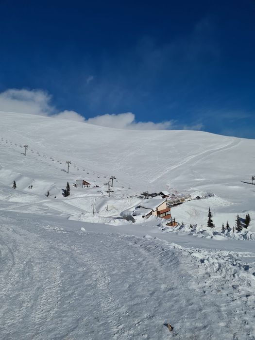 Proprietar vand parcele Ranca