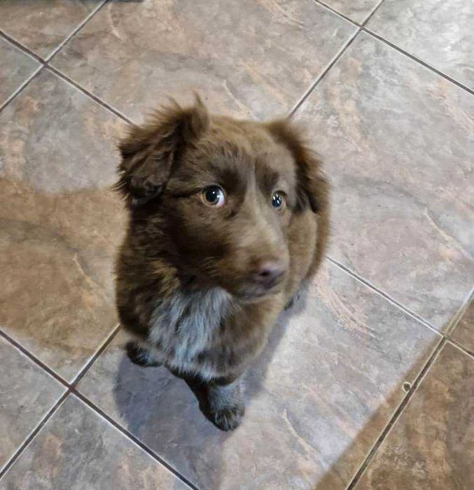 Малышка Берта с человеческими глазами