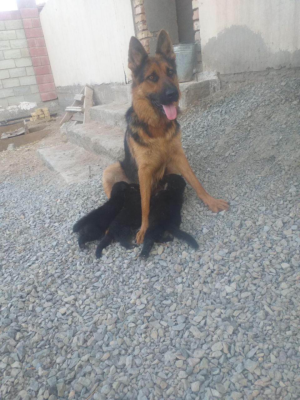 2 ойлик боланинг ривожланиши