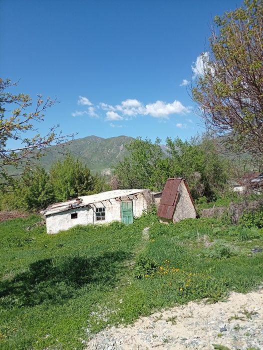 Продается дом.Островская 38.