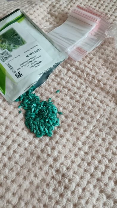 Семина огурцов Меренга F1