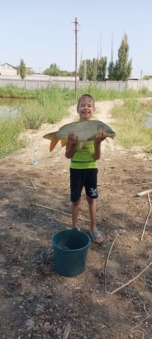 Рыбалка, проточная вода. Огромные пруды