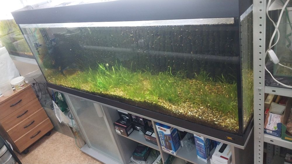 Распродажа Аквариумов Б/У