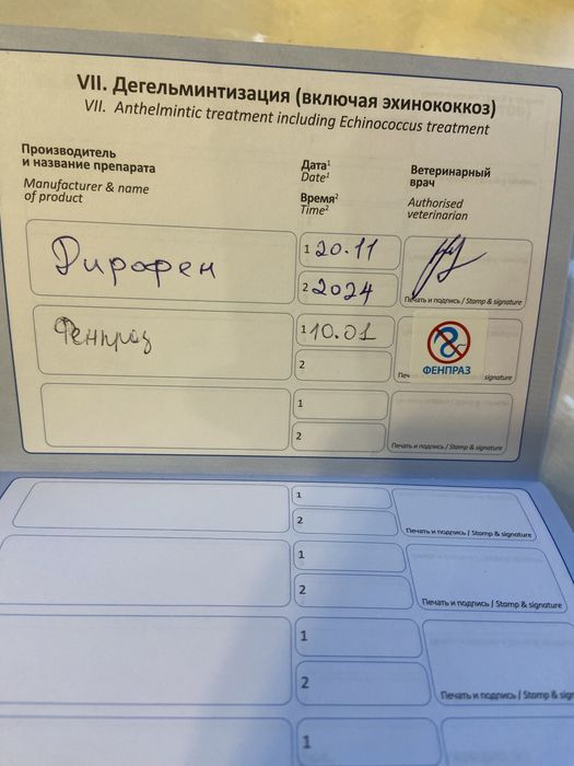 Продам породистого кота