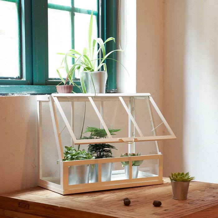 Ikea ÅKERBÄR greenhouse
