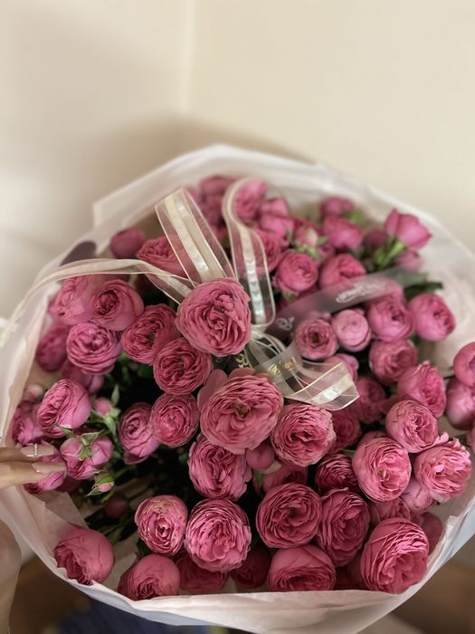 Кустовый роза новый