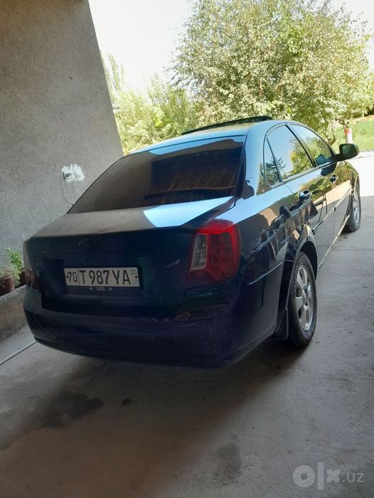 Qora jentra cotiladi