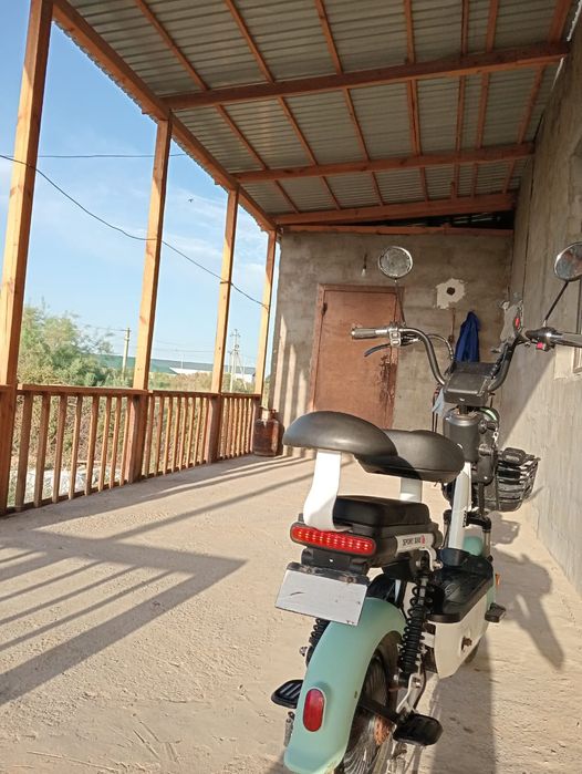 Бұқамен секс қыз