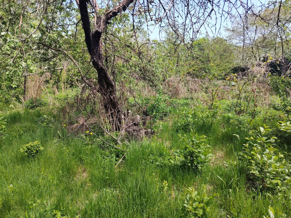 Продам дачу срочно