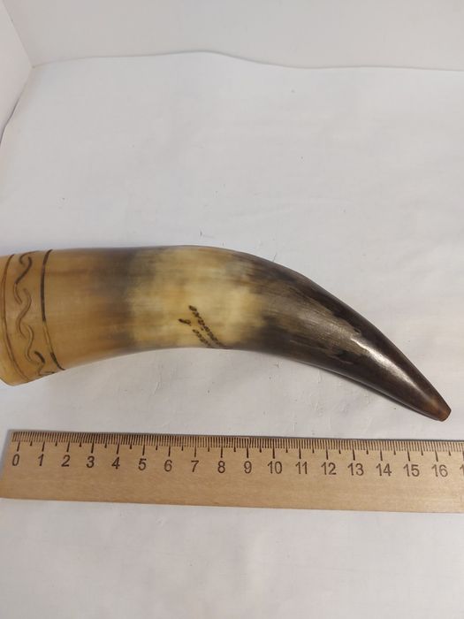 Рожок настоящий.