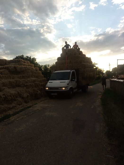 Baloti paie 2000 buc ,  8 lei buc ,, făn  20 lei buc ,lucerna 20 lei