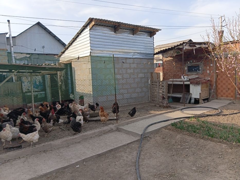 Продам дачу зимний вариант