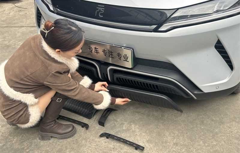 Защитная сетка радиатора.