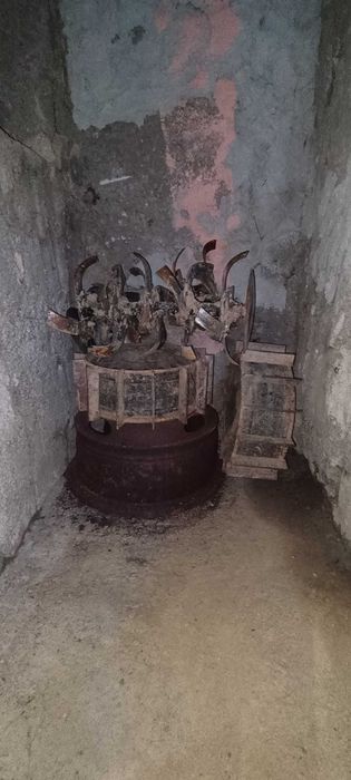 Vând motocultor diesel 12,5 cp