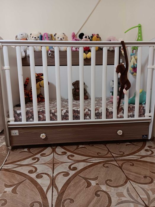 Децко легло лорели