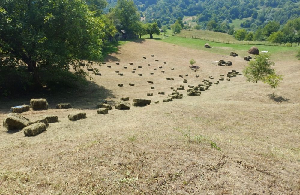 Vand baloti de fân 2025