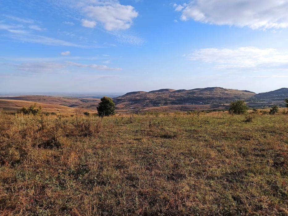 Terenuri in extravilan