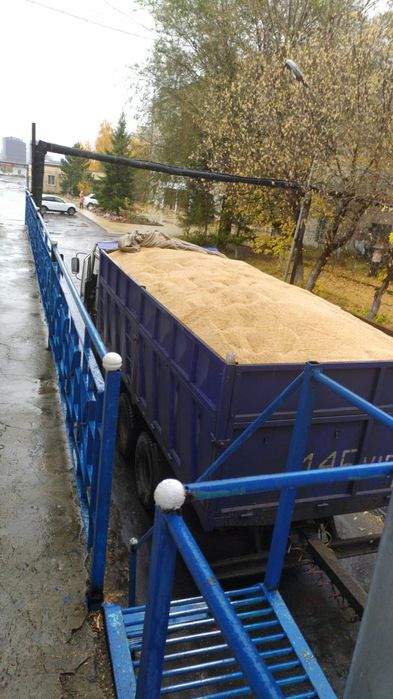 Услуги КамАЗ самосвалы