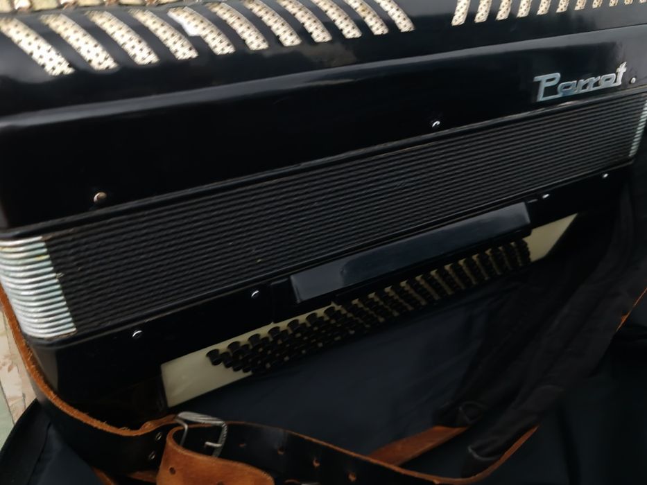 Acordeon Parrot 120 basi