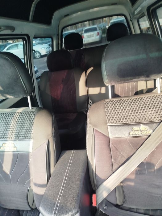 Minishga tayyor damas