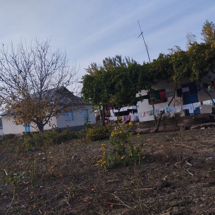 Уй сотилади 1 та Уй нархига 2 та уй зор уй зор нарх