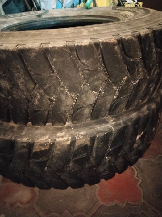 Шины на хову шахман