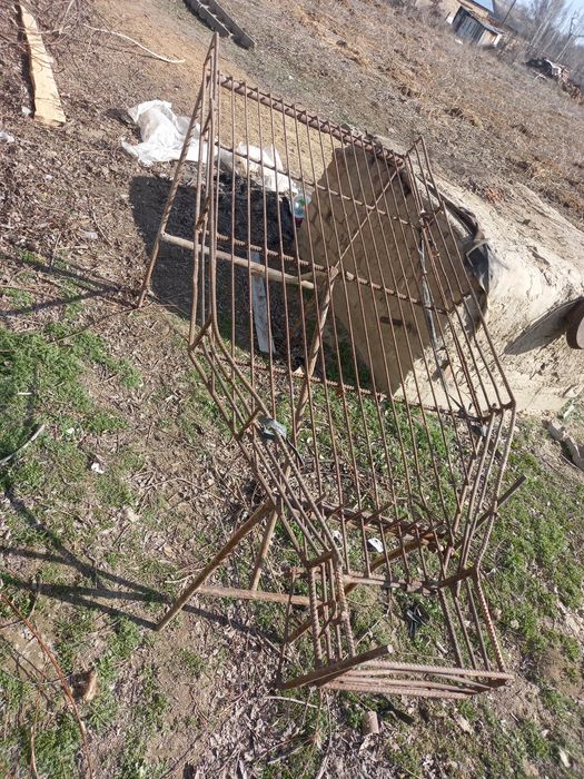 Прадоется лук тарка