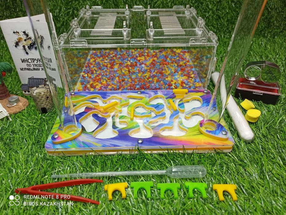 Муравьиная ферма от 5500. В наличии в городе АЛМАТЫ!