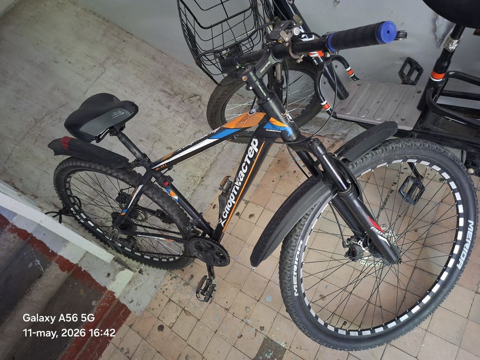 Velosapetsportmaster