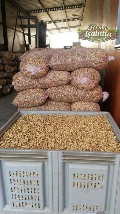 Semințe de alune de pământ arahide