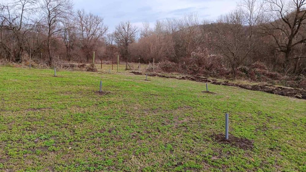 Продава се Къща в с. Марчино, Област Търговище - 50 кв.м за 300 €/кв.м - Снимка #4