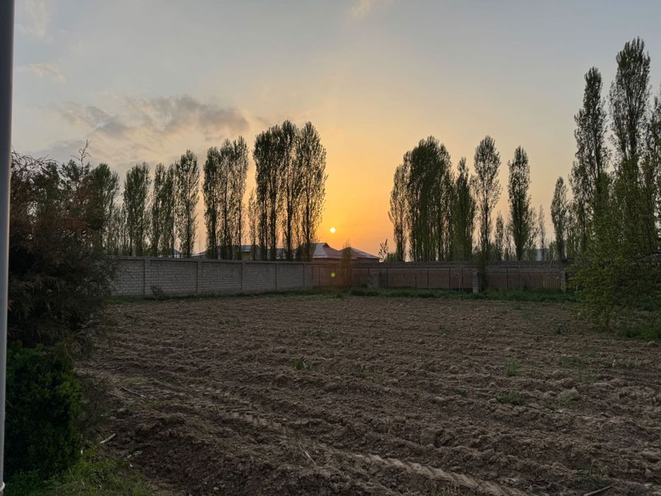 Yangiyolda 20 sotik ferma sotiladi hama sharoit bor