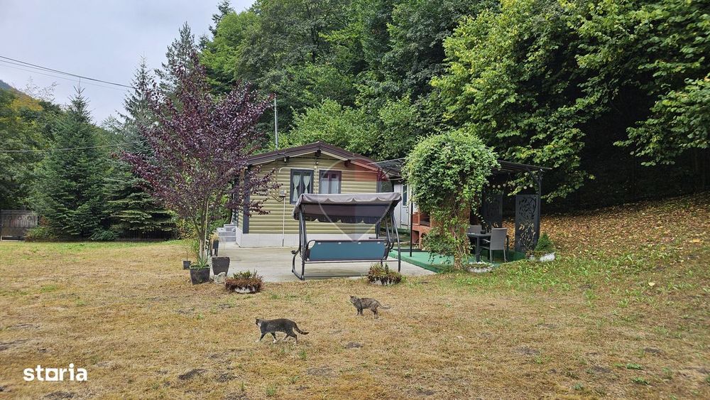 Căsuță de vacanță de vânzare – comuna Alexandru cel Bun, Neamț