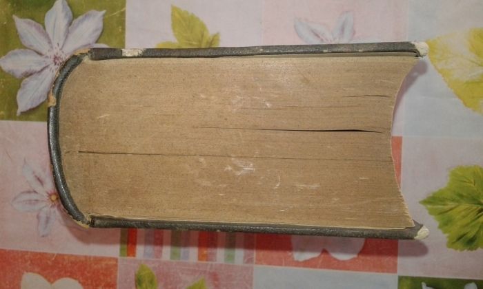 Стар "Универсален речник на съвременниците" 1880 г.