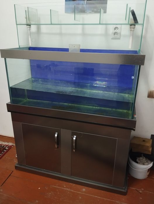 Akvarium i pastavkasi menen birge satiladi 250litrlik akvarium