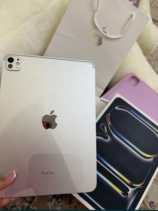 Ipad Pro M4 11-inch 256gb