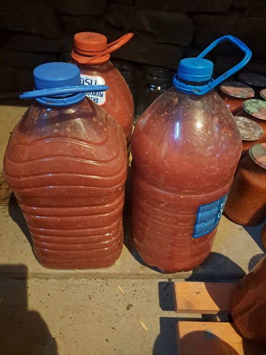 Соленья на зиму!!